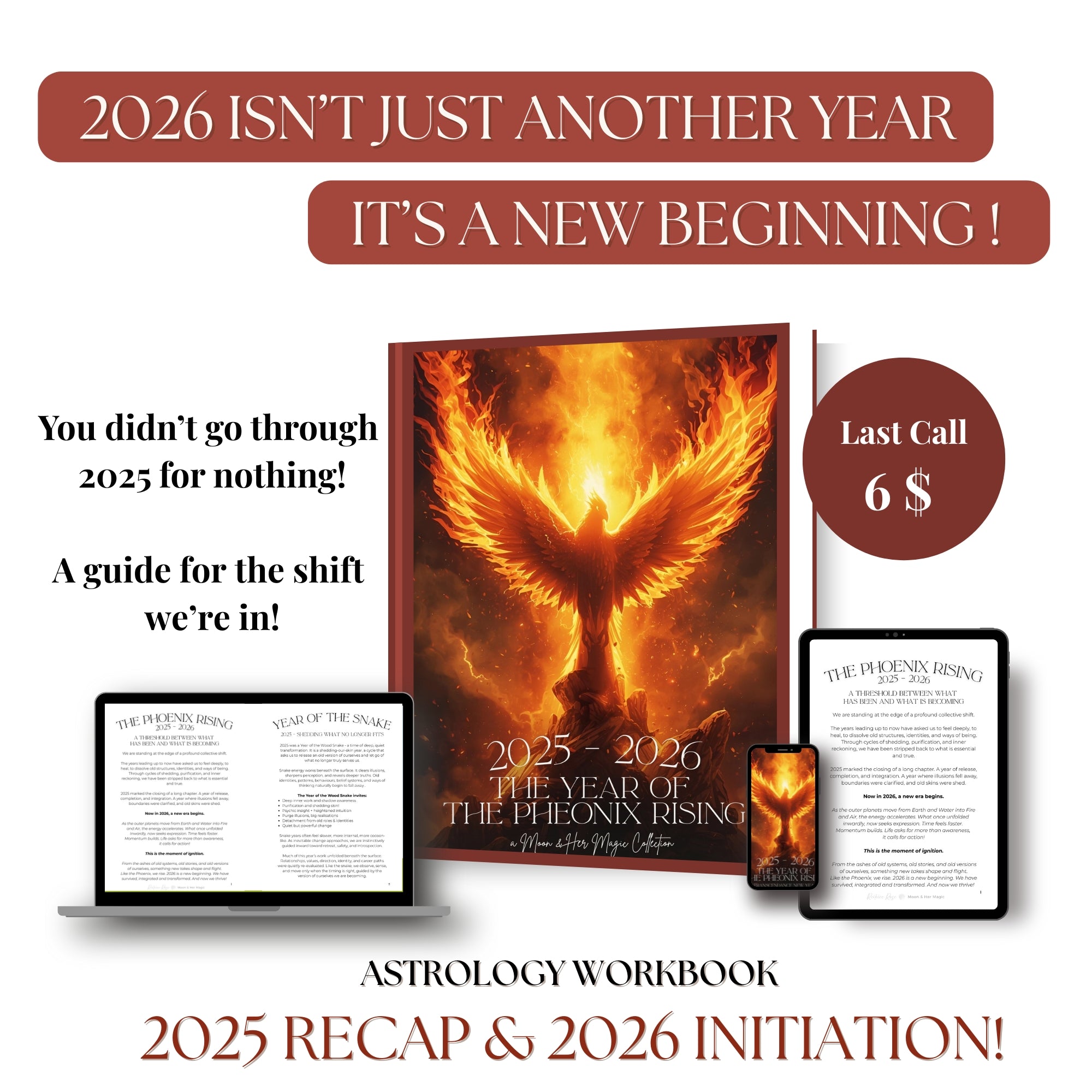 The Pheonix Rising Guide & Reflection Book